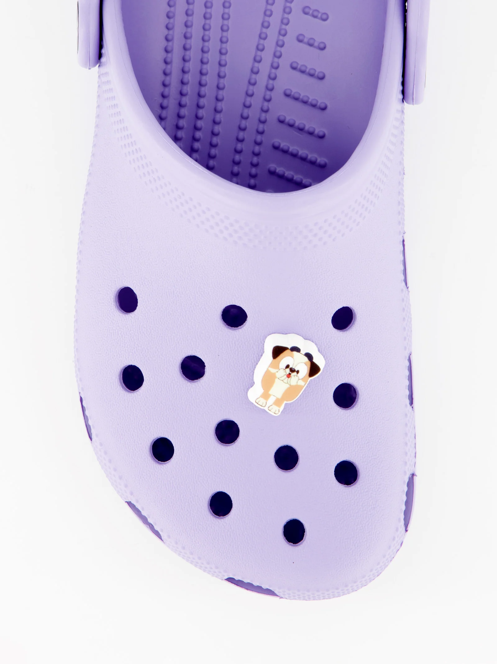Charms para zuecos Crocs Jibbitzs Bluey
